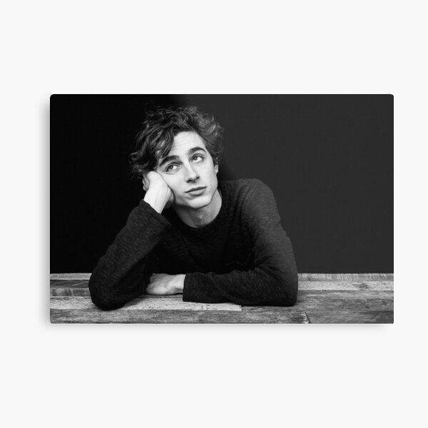 timothee chalamet Impression métallique