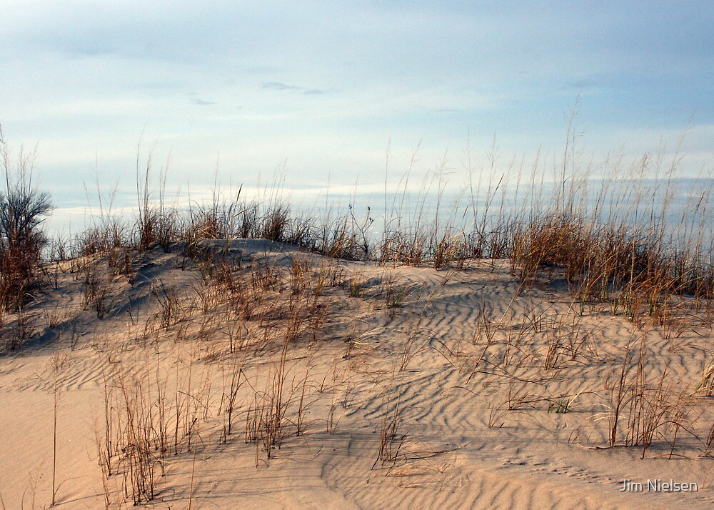 "Ludington Sand Dunes" by Jim Nielsen Redbubble