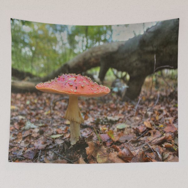 Item preview, A Faerie's World designed and sold by Vicki Spindler (VHS Photography).