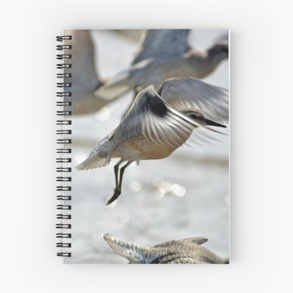 Item preview, Dunlin (Calidris alpina) - Crosby Beach, UK designed and sold by Chris Monks.