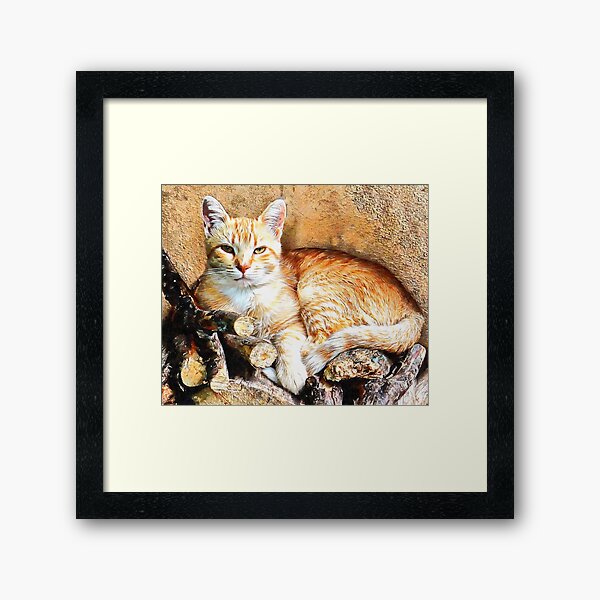 Hogarty The Ginger Cat Framed Art Print