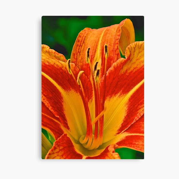 Item preview, Large as Life designed and sold by jjohnsueb.