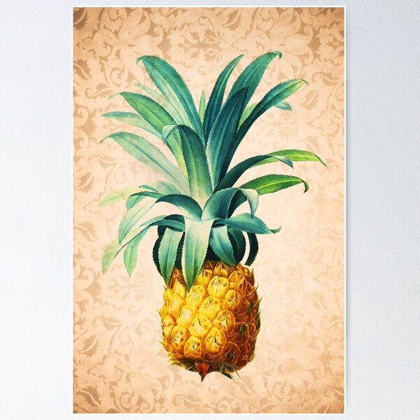 Item preview, Piña retro designed and sold by Delphimages Art.
