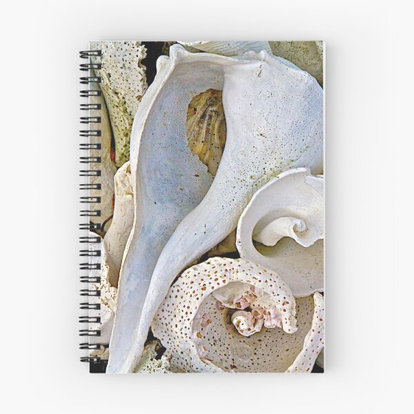Item preview, Seashells designed and sold by jjohnsueb.