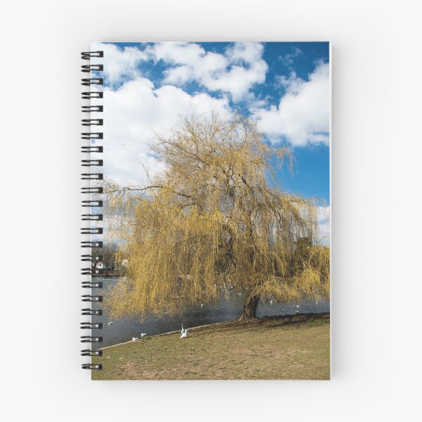Item preview, Willow Tree in Autumn designed and sold by Cameranick.
