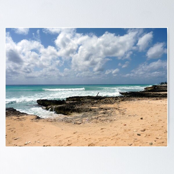 Aperçu de l'œuvre North Sound, Grand Cayman, Caraïbes créée et vendue par Chi Gardens.