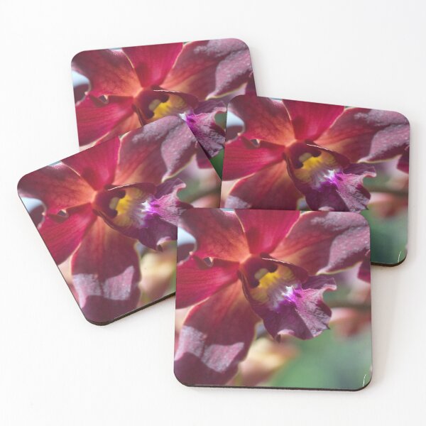 Item preview, Maui Merlot Dendroblum Orchid  designed and sold by srwdesign.