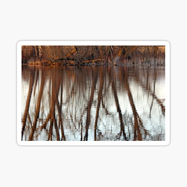 Item preview, Spring Sunset Tree Reflections designed and sold by Deb Oppermann.