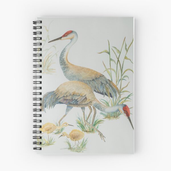 Item preview, Sandhill Cranes - Carolyn Masters designed and sold by Carolyn  Masters.