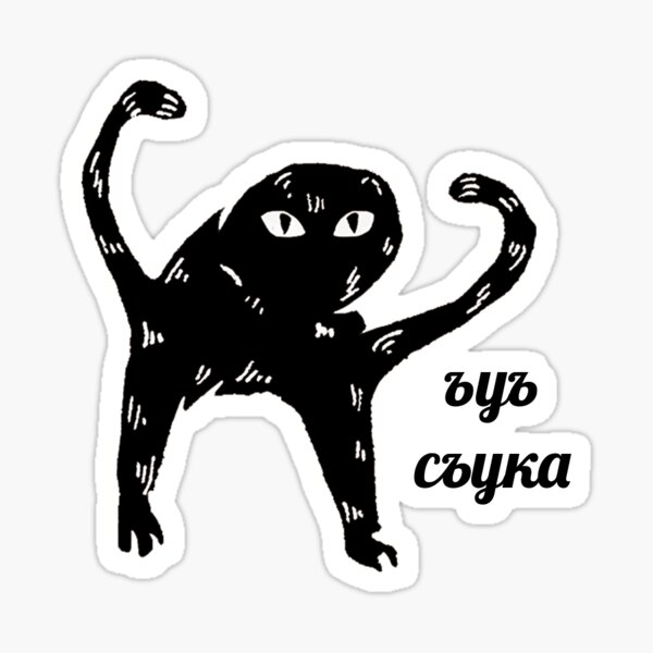 "(untranslatable russian meme) cat" Sticker by xkid Redbubble