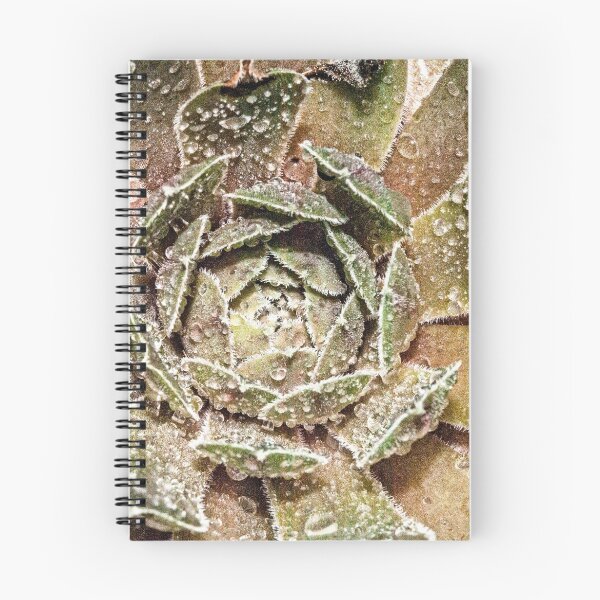 Item preview, Crater Of Diamonds designed and sold by Jessica Manelis.