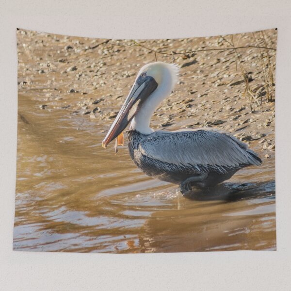 Item preview, Wader bird of Calabash designed and sold by KensLensDesigns.