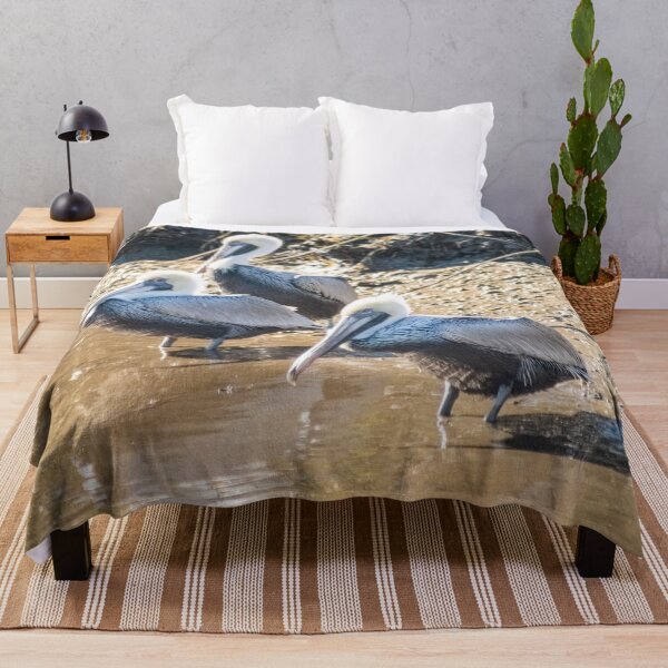 Item preview,  Brown pelican in Intracoastal Waterway  designed and sold by KensLensDesigns.
