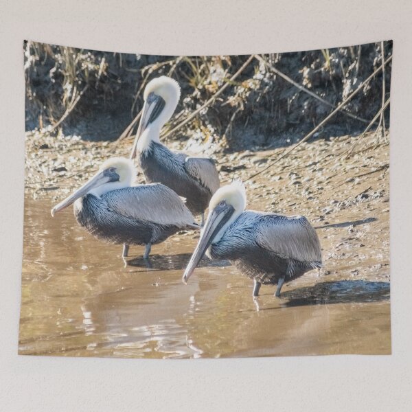 Item preview,  Brown pelican in Intracoastal Waterway  designed and sold by KensLensDesigns.