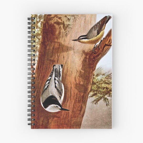 Item preview, Red-breasted nuthatch and White-breasted nuthatch designed and sold by goldenmenagerie.