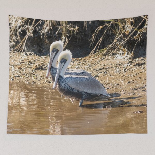 Item preview, Pelican in Intracoastal Waterway designed and sold by KensLensDesigns.