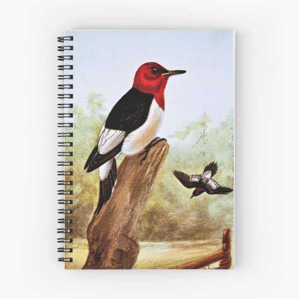Item preview, Red Headed Woodpecker Art designed and sold by goldenmenagerie.