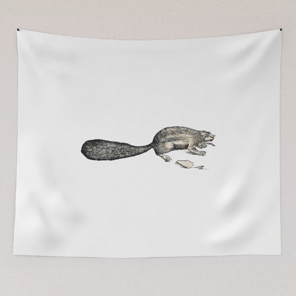 Item preview, woodcuts bestiary - getulian squirrel designed and sold by MagicDoorknob.