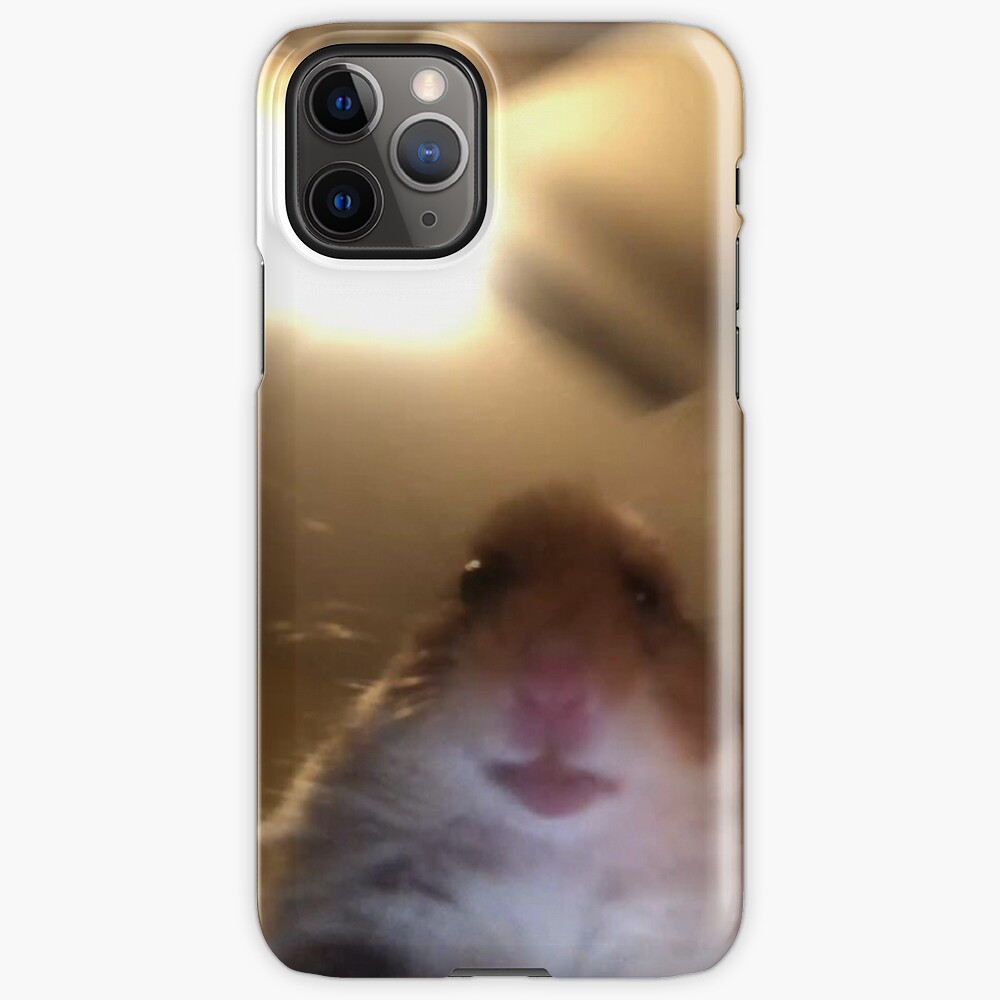 "staring hamster meme" iPhone Case & Cover by MemesnDeams Redbubble