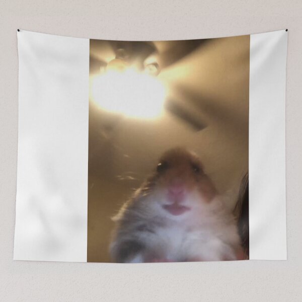 Item preview, staring hamster meme designed and sold by Meemedesigns.