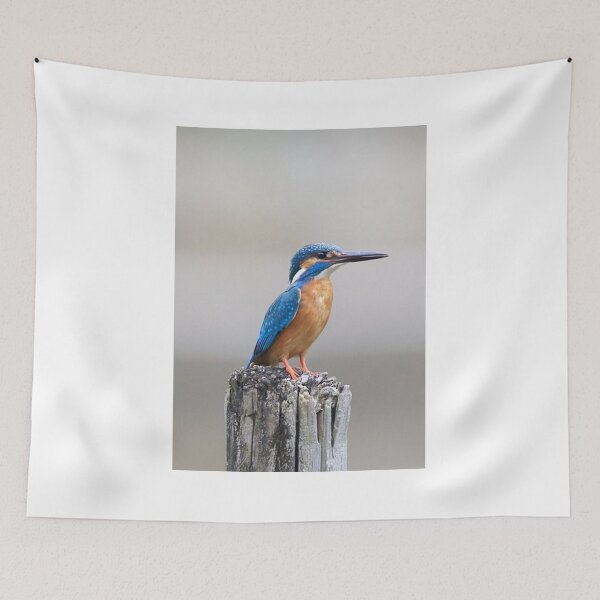 Item preview, Kingfisher Bird @ Crazydodo designed and sold by crazydodo.
