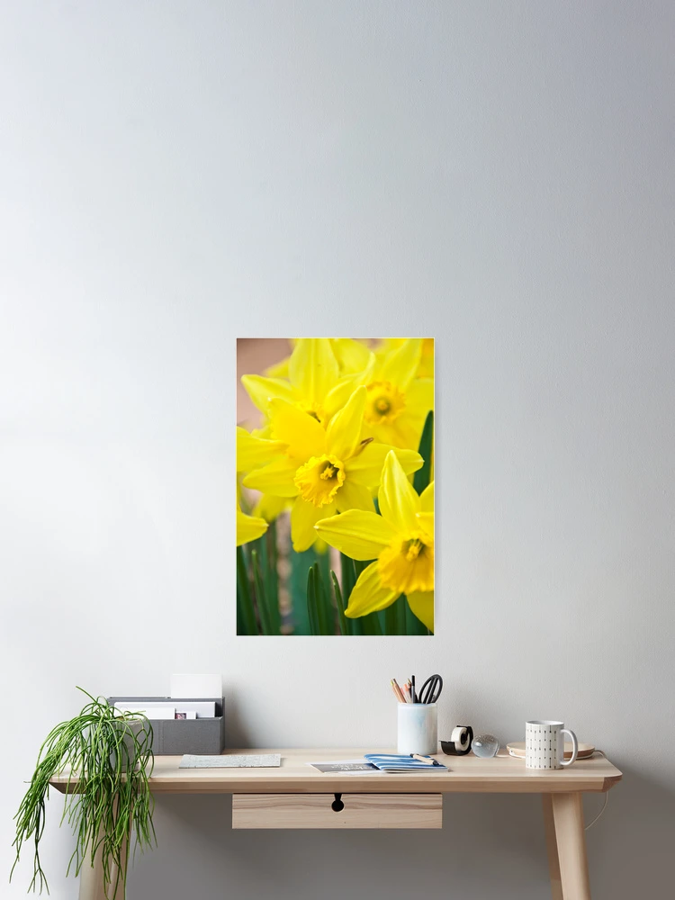 Thumbnail 2 of 3, Poster, Spring Color designed and sold by Shawnna Taylor.