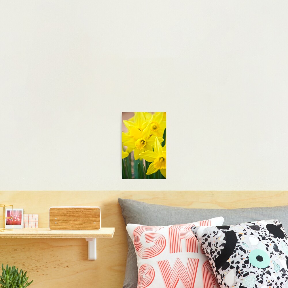 Vista previa del artículo con la obra «Lámina fotográfica», diseñado y vendido por shawnnataylor.