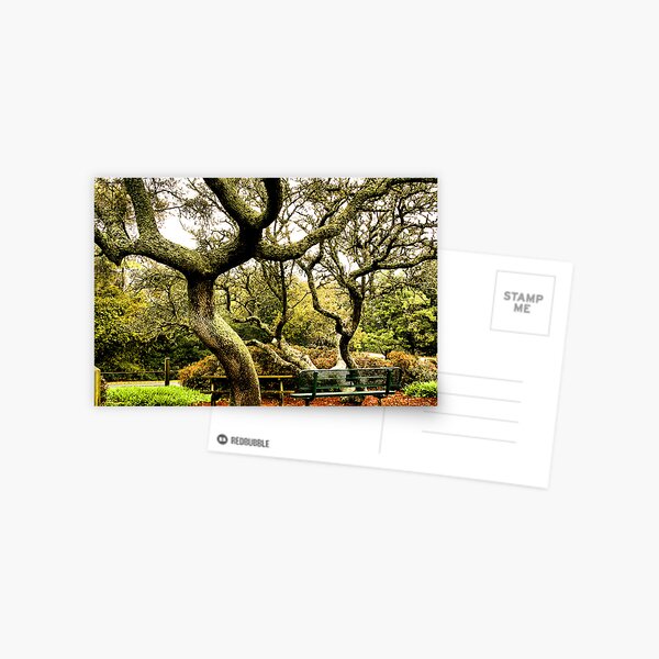 Item preview, The Park Bench under the Oaks designed and sold by pshootermike.