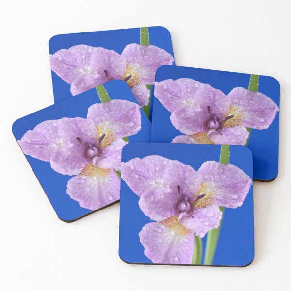 Item preview, Iris designed and sold by Chris Burrows.
