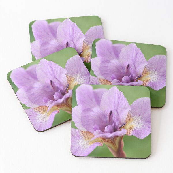 Item preview, Iris designed and sold by Chris Burrows.