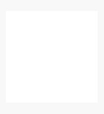 Internet Explorer Photographic Print