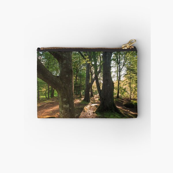 Artikelvorschau, Tollymore Forest, County Down, Nordirland entworfen und verkauft von Zdrojewski.