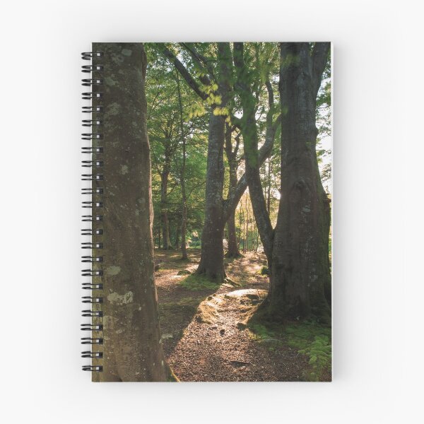 Item preview, Tollymore Forest , County Down, Northern Ireland designed and sold by Zdrojewski.