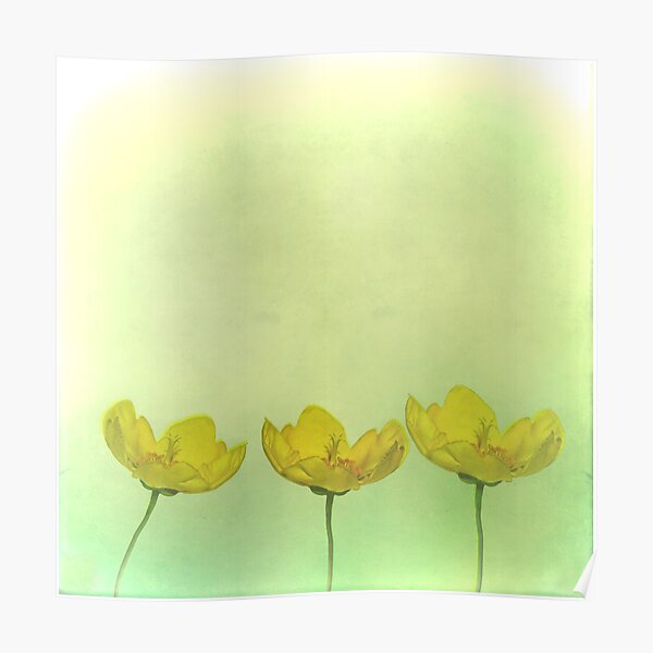 flower child Poster