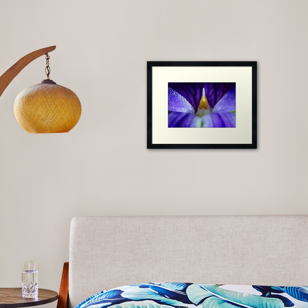 Australian Native Violet Framed Art Print