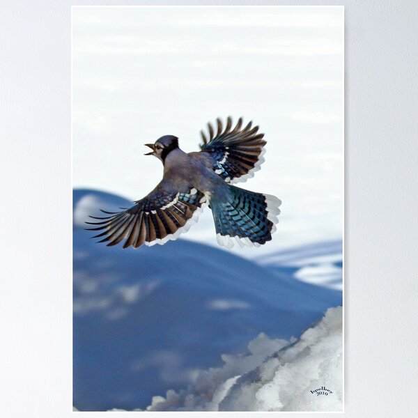 Item preview, The Sentinel designed and sold by Brian Pelkey.