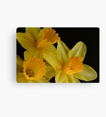 Trio Canvas Print