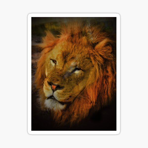 Item preview, Young Lion designed and sold by Savannah Gibbs.