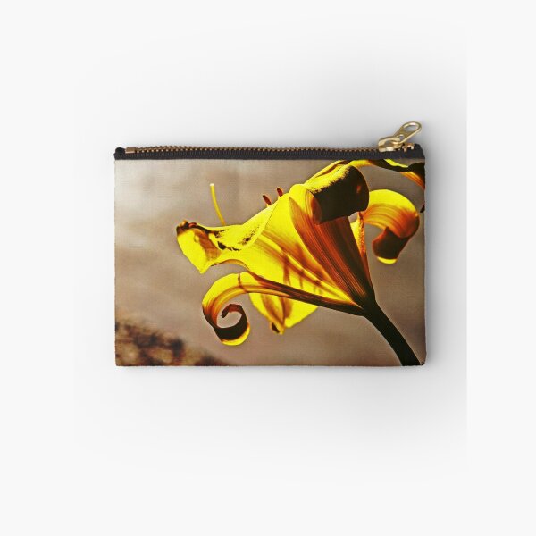 Item preview.