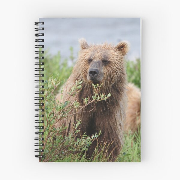 Item preview, Two Young Grizzly Males Watching US! designed and sold by 2CrabbySisters.