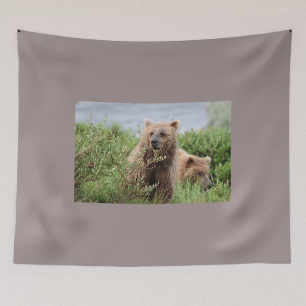 Item preview, Two Young Grizzly Males Watching US! designed and sold by 2CrabbySisters.