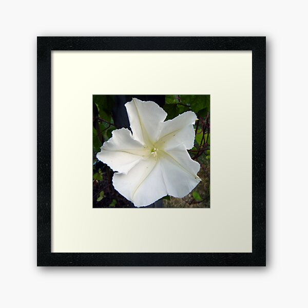 Aperçu de l'œuvre MoonFlower créée et vendue par WhiteOak Art Designs.