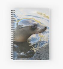 Galapagos Sea Lion Spiral Notebook