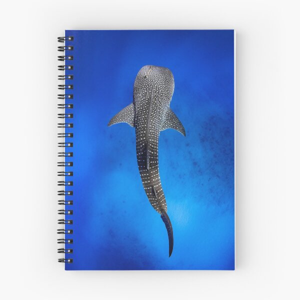 Item preview, Whale shark  designed and sold by Jesshaddenphoto.
