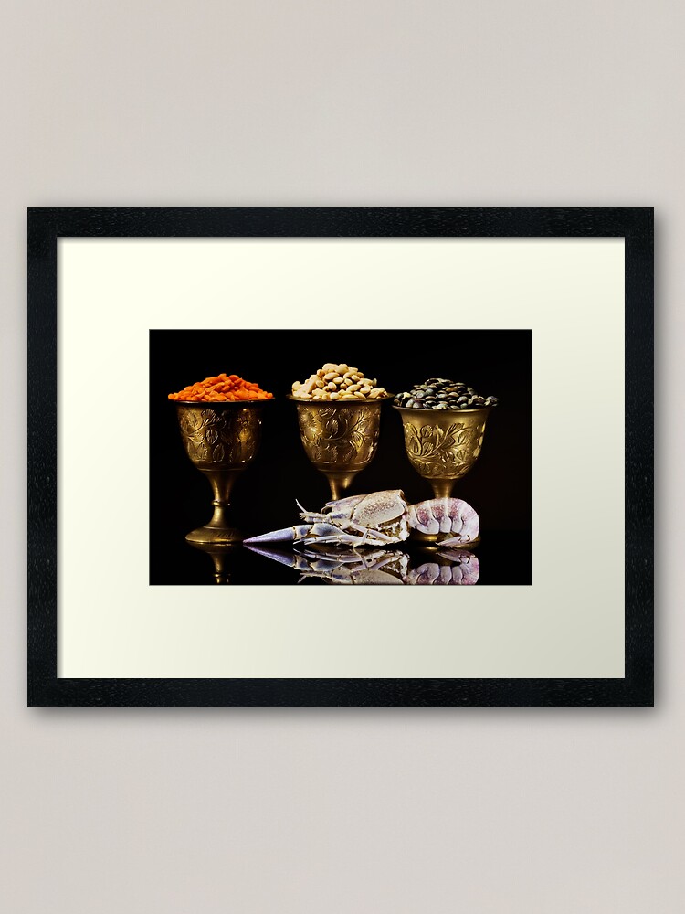 Alternate view of cray fish soup Framed Art Print