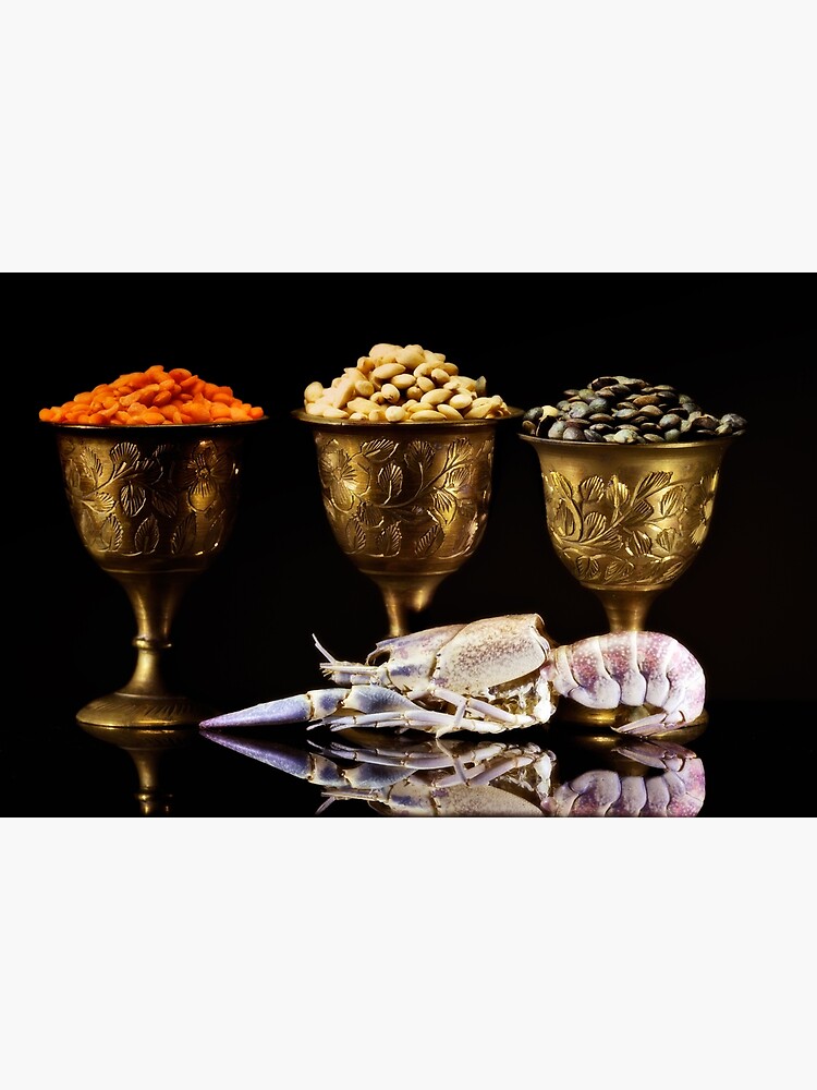 cray fish soup by fardad