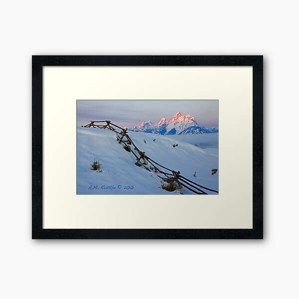 Running Buck & Rail, First Light on the Grand Framed Art Print