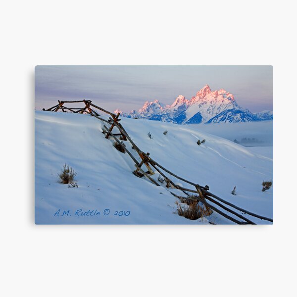 Running Buck & Rail, First Light on the Grand Canvas Print