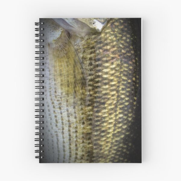 Item preview, Largemouth Bass Scales designed and sold by jonesing.