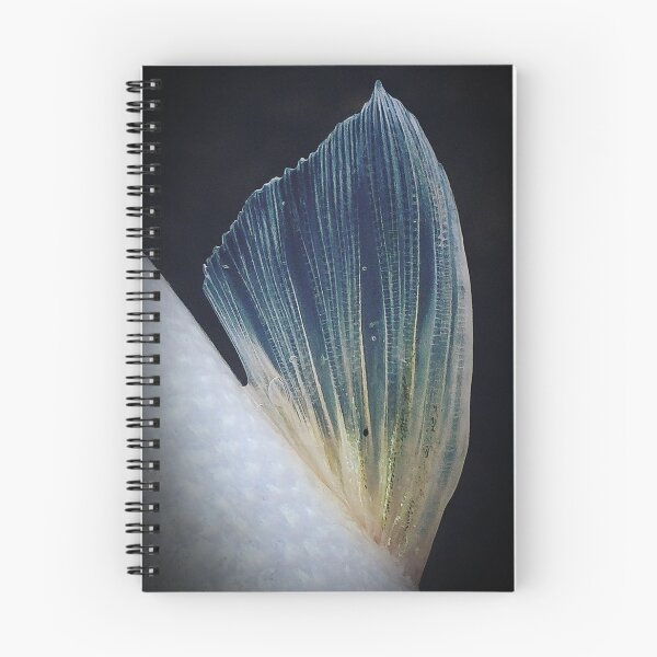 Item preview, Fish Fin designed and sold by jonesing.